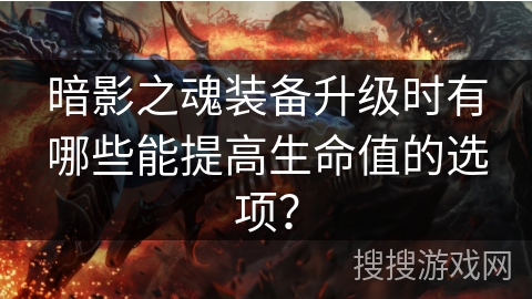 暗影之魂装备升级时有哪些能提高生命值的选项? 暗影之魂装备升级时有哪些能提高生命值的选项?