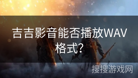 吉吉影音能否播放WAV格式？