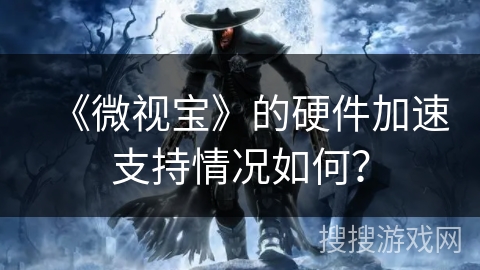 《微视宝》的硬件加速支持情况如何？