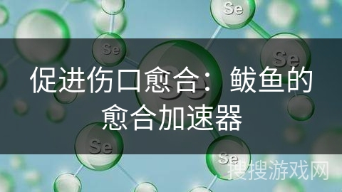 促进伤口愈合：鲅鱼的愈合加速器