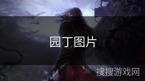 园丁图片 园丁图片