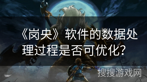 《岗央》软件的数据处理过程是否可优化？
