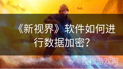 《新视界》软件如何进行数据加密？