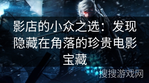 影店的小众之选：发现隐藏在角落的珍贵电影宝藏