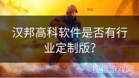 汉邦高科软件是否有行业定制版？