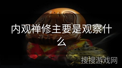 内观禅修主要是观察什么 内观禅修主要是观察什么