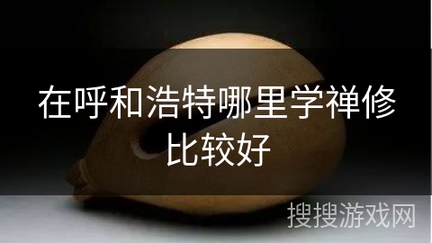 在呼和浩特哪里学禅修比较好 在呼和浩特哪里学禅修比较好