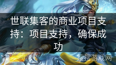 世联集客的商业项目支持:项目支持,确保成功 世联集客的商业项目支持:项目支持,确保成功