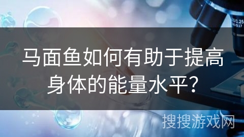 马面鱼如何有助于提高身体的能量水平？