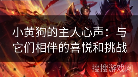 小黄狗的主人心声：与它们相伴的喜悦和挑战