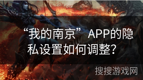 “我的南京”APP的隐私设置如何调整？