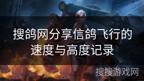 搜鸽网分享信鸽飞行的速度与高度记录 搜鸽网分享信鸽飞行的速度与高度记录