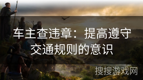 车主查违章:提高遵守交通规则的意识 车主查违章:提高遵守交通规则的意识