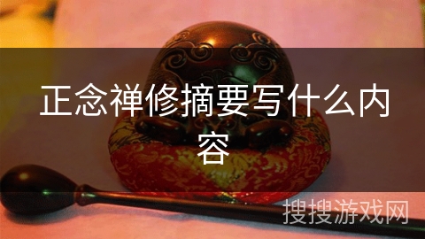 正念禅修摘要写什么内容