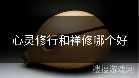 心灵修行和禅修哪个好 心灵修行和禅修哪个好
