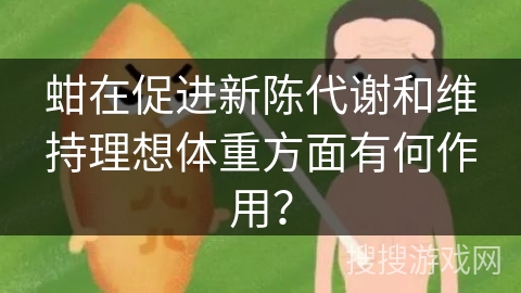 蚶在促进新陈代谢和维持理想体重方面有何作用？