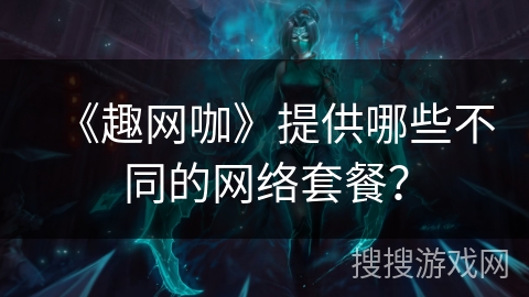 《趣网咖》提供哪些不同的网络套餐？