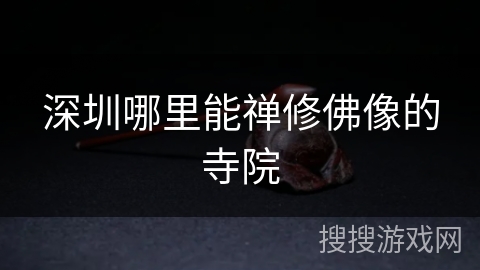 深圳哪里能禅修佛像的寺院