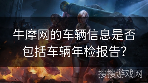 牛摩网的车辆信息是否包括车辆年检报告？