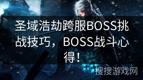 圣域浩劫跨服BOSS挑战技巧，BOSS战斗心得！