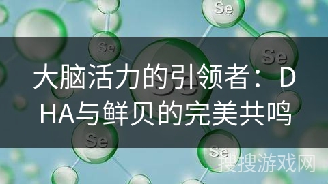 大脑活力的引领者：DHA与鲜贝的完美共鸣
