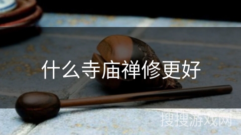 什么寺庙禅修更好