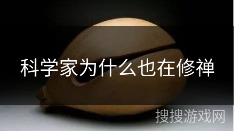 科学家为什么也在修禅 科学家为什么也在修禅
