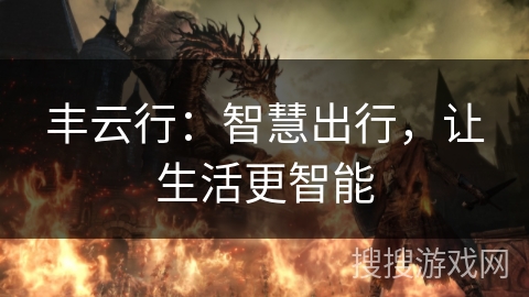 丰云行：智慧出行，让生活更智能