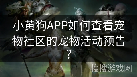 小黄狗APP如何查看宠物社区的宠物活动预告？