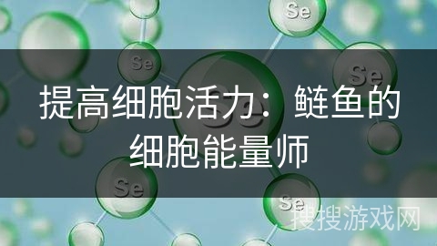 提高细胞活力:鲢鱼的细胞能量师