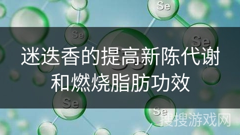 迷迭香的提高新陈代谢和燃烧脂肪功效