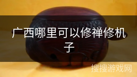 广西哪里可以修禅修机子 广西哪里可以修禅修机子