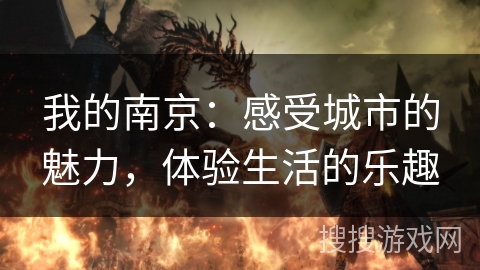 我的南京：感受城市的魅力，体验生活的乐趣