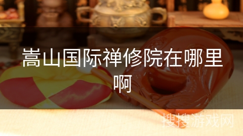 嵩山国际禅修院在哪里啊 嵩山国际禅修院在哪里啊