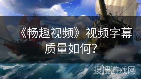 《畅趣视频》视频字幕质量如何? 《畅趣视频》视频字幕质量如何?