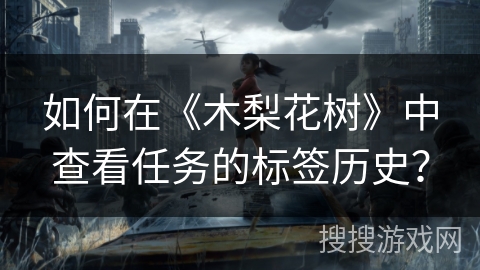 如何在《木梨花树》中查看任务的标签历史？