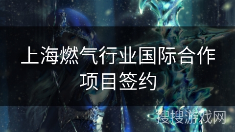 上海燃气行业国际合作项目签约 上海燃气行业国际合作项目签约