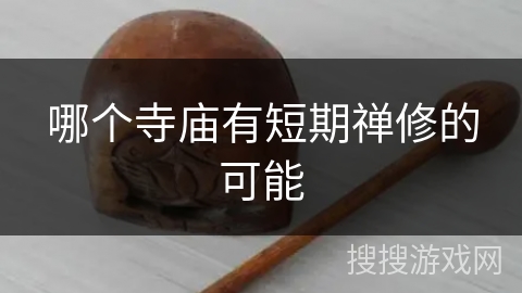 哪个寺庙有短期禅修的可能