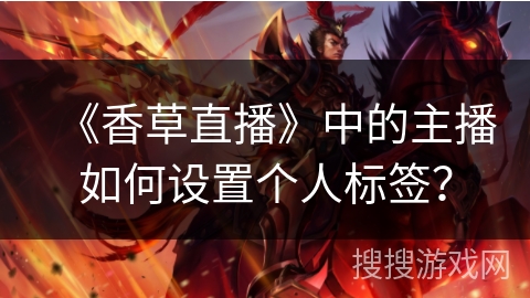 《香草直播》中的主播如何设置个人标签？