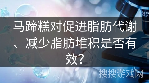 马蹄糕对促进脂肪代谢、减少脂肪堆积是否有效?