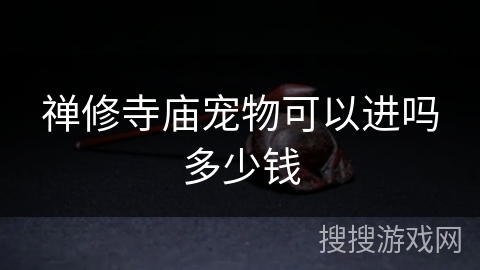 禅修寺庙宠物可以进吗多少钱 禅修寺庙宠物可以进吗多少钱