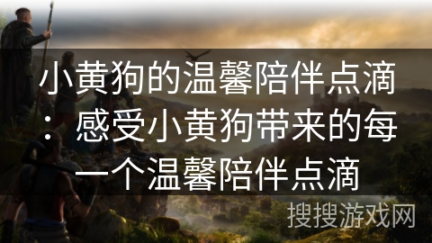 小黄狗的温馨陪伴点滴:感受小黄狗带来的每一个温馨陪伴点滴 小黄狗的温馨陪伴点滴:感受小黄狗带来的每一个温馨陪伴点滴