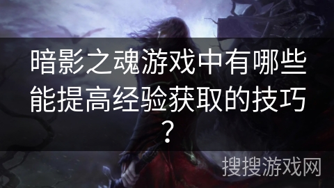 暗影之魂游戏中有哪些能提高经验获取的技巧? 暗影之魂游戏中有哪些能提高经验获取的技巧?