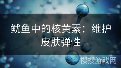 鱿鱼中的核黄素：维护皮肤弹性