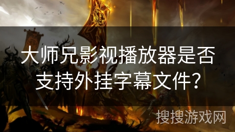 大师兄影视播放器是否支持外挂字幕文件？