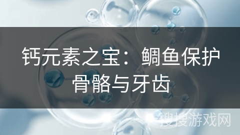 钙元素之宝：鲷鱼保护骨骼与牙齿