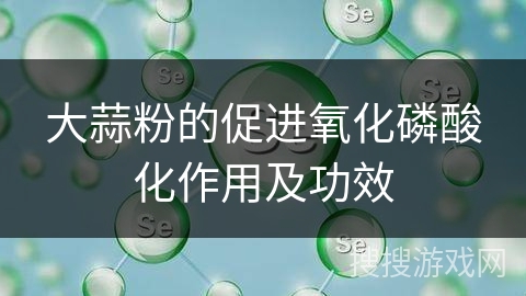 大蒜粉的促进氧化磷酸化作用及功效