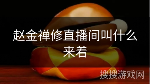 赵金禅修直播间叫什么来着