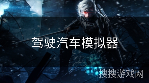 驾驶汽车模拟器