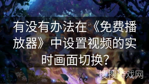 有没有办法在《免费播放器》中设置视频的实时画面切换？